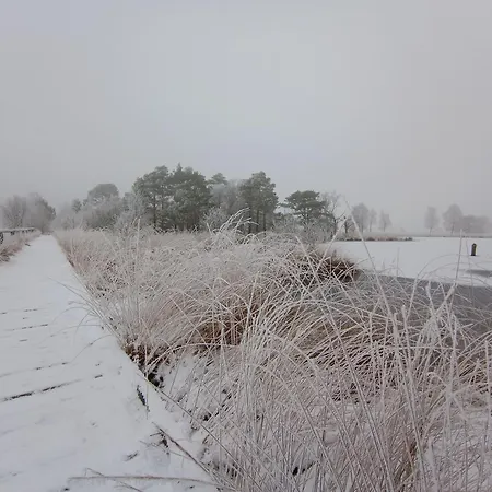 Am Pietzmoor * Schneverdingen