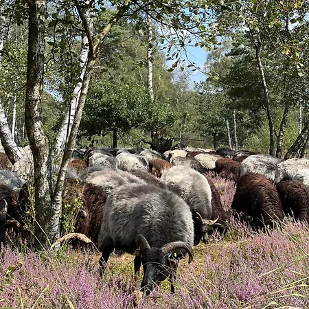 Am Pietzmoor